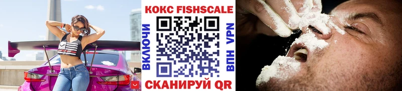 купить наркотик  Сланцы  Cocaine Эквадор 