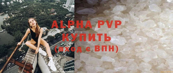 стаф Нефтегорск
