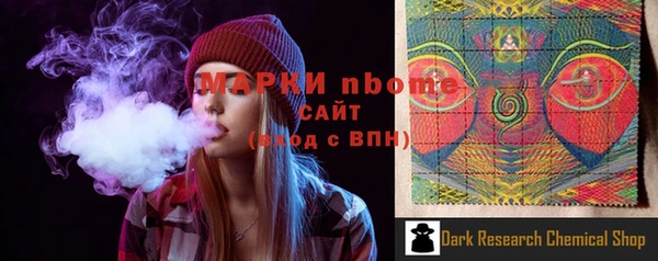 стаф Нефтегорск