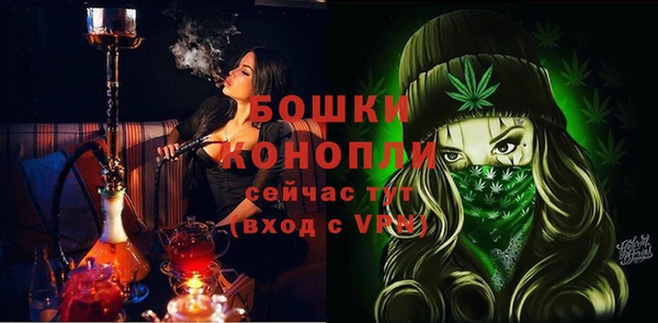 стаф Нефтегорск