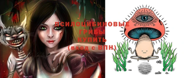 стаф Нефтегорск