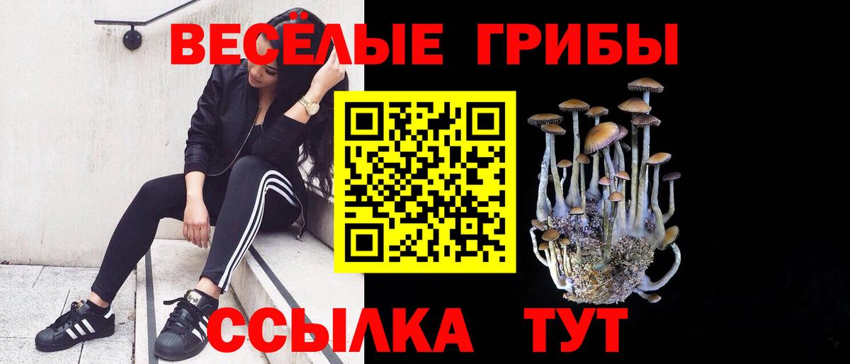 Кокаин  APVP СК кристаллы  Бошки Шишки  ГАШ  Меф МЯУ МЯУ кристаллы  МДМА  ЭКСТАЗИ  ГАШИШ  Сланцы  Каннабис  Вход с VPN  NBOMe 