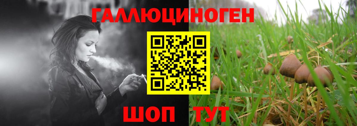 Сланцы  даркнет сайт  Галлюциногенные грибы прущие грибы  Вход с VPN  Галлюциногенные грибы ЛСД 